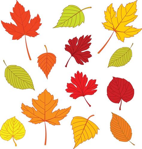 17 Best Leaf Templates Images On Pinterest Leaf Template Leaves And