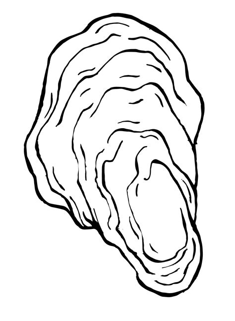 Coloring Pages Oyster Shells Clam Sea Colouring Shell Color Seashells