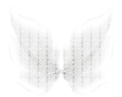 Download Hd Fairy Wings Png Photo Sketch Transparent Png Image