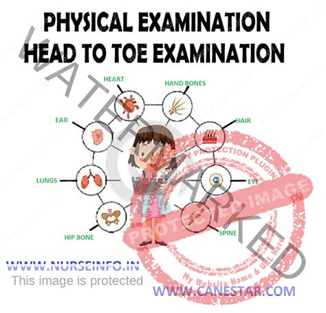 Head To Toe Physical Examination Nurse Info