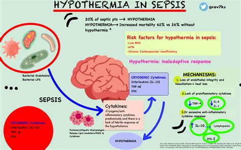 Sepsis Pathophysiology Diagram