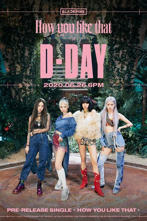 Blackpink Dévoile Un Ultime Poster De Groupe Pour How You Like That