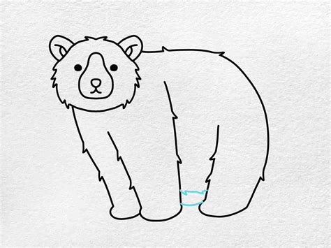 How To Draw A Bear Helloartsy