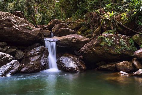 Reservaciones Para El Yunque El Yunque Reservations El Yunque