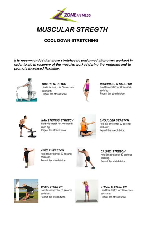 Types Of Muscular Exercises Printable Templates Free