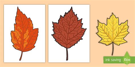 👉 Free Autumn Leaves Templates Autumn Pictures Download