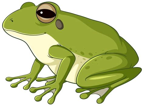 Large Toad Clipart PNG Transparent OnlyGFX Clip Art Library