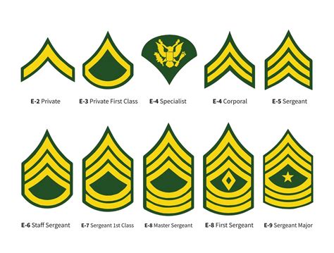 Army Rank Svg Army Enlisted Rank Svg Army Rank Insignia Us Etsy