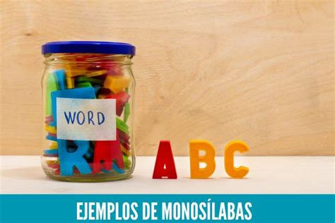 Ejemplos De Monos Labas C Mo Se Clasifican