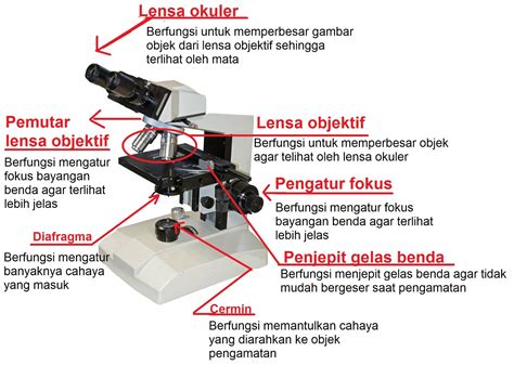 Gambar Mikroskop Beserta Fungsi Dan Keterangannya Bonus