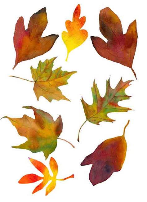 Colored Fall Leaves Printables