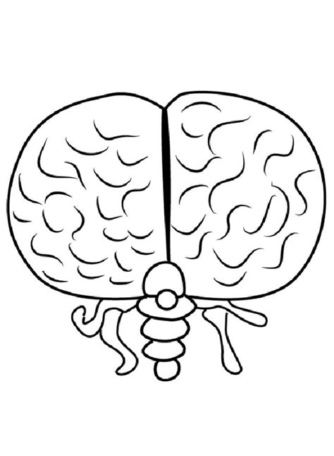 20 Easy Brain Drawing Ideas How To Draw A Brain Blitsy