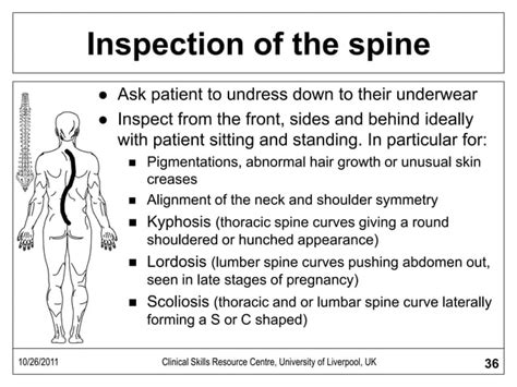 Musculoskeletal Exam