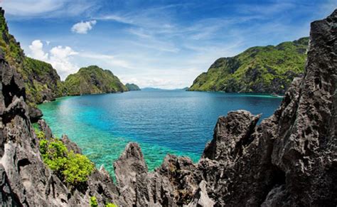 Magical Marine Life In The Philippines