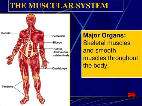 Ppt Make This Data Table Twice In Your Science Notebook It Will Take