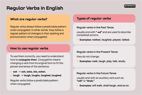 Regular Verbs In English Examples And Definition Promova