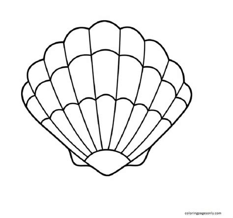 Clam Shell Pages Printable With One Coloring Pages