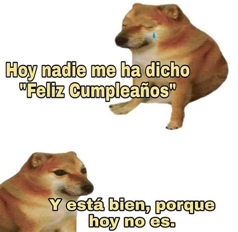 Memes Cheems Memes Graciosos Memes Perros Memes Divertidos