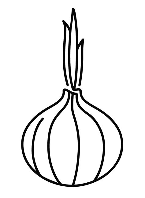 Draw Easy Onion Coloring Page Free Printable Coloring Pages