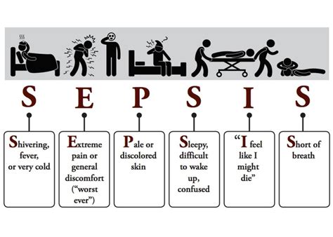 Sepsis Diagram