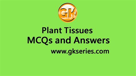 Plant Tissues Multiple Choice Questions And Answers Plant Tissues Quiz