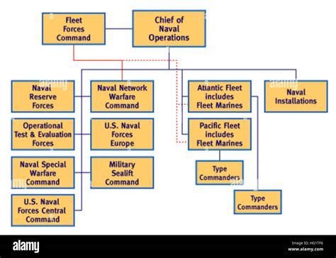 Us Navy Operating Forces Org Chart Stock Photo Alamy