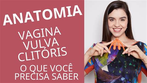 Onde Fica O Clit Ris O Que Ele Anatomia Da Vulva Vagina E Clit Ris