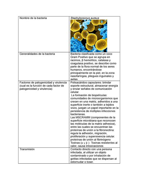 Tabla Resumen Bacterias Staphylococcus Nombre Aureus Pyogenes The