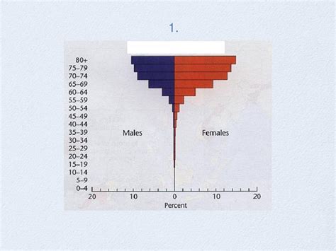 Population Pyramids Age Sex Graphs Ppt Download