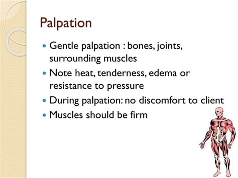 Examination Of Musculoskeletal System