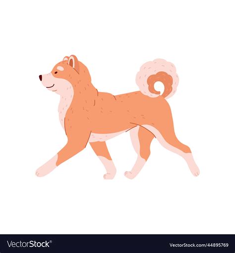 Walking Funny Shiba Inu Dog Cartoon Character Vector Image