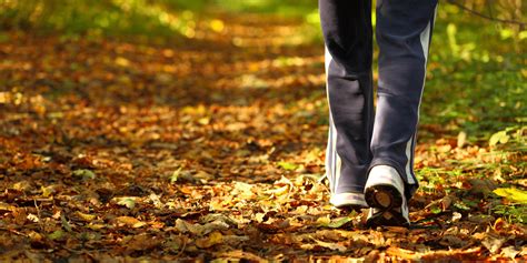 So, walking your 10,000 steps per day will burn off 500 calories, putting you in a deficit for the day. How Many Steps a Day Should You Really Walk? | HuffPost