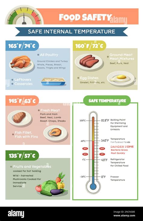 Haccp Food Safety Infographics With Editable Text And Thermometer With