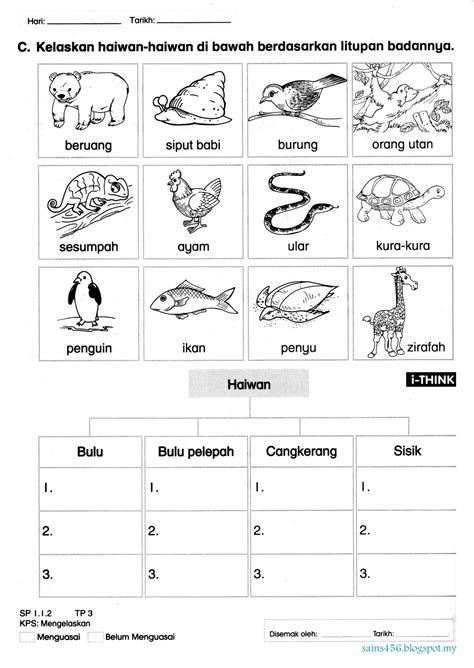 Lembaran Kerja Haiwan Liar Prasekolah Sains Aktiviti Lembaran Kerja