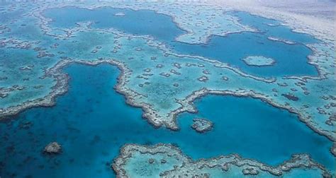 The great barrier reef is a coral formation, the largest in the world, located off the pacific coast of queensland, australia. Where is The Great Barrier Reef Location