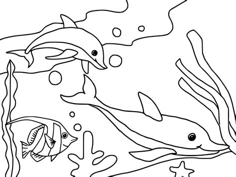 Ocean Coloring Pages