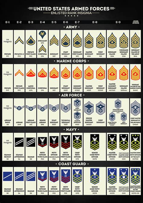 United States Armed Forces Enlisted Rank Insignia Digital Art By