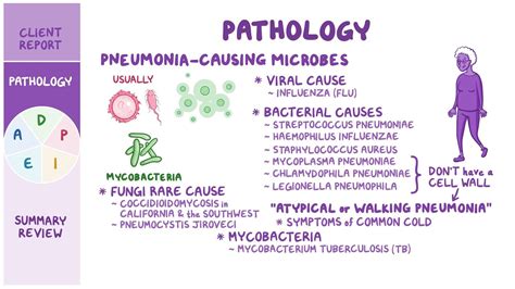 Nursing Assessment For Pneumonia