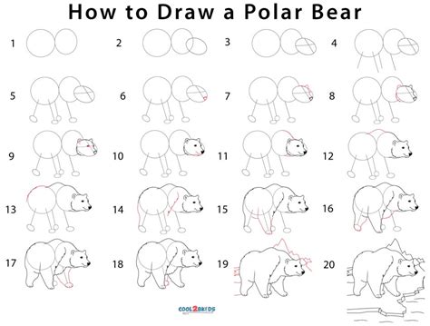 How To Draw A Polar Bear Step By Step Pictures