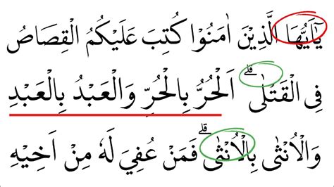 Ngaji Al Quran Pemula Ngaji Al Quran Surah Al Baqarah Ayat 178