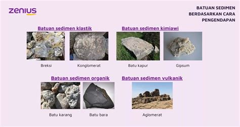 Batuan Sedimen Pengertian Ciri Klasifikasi Dan Contoh 95