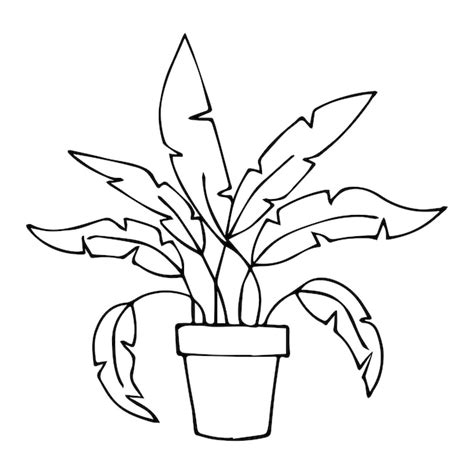 Plantas En Maceta Para Colorear P Gina Para Ni Os Vector Ilustraci N