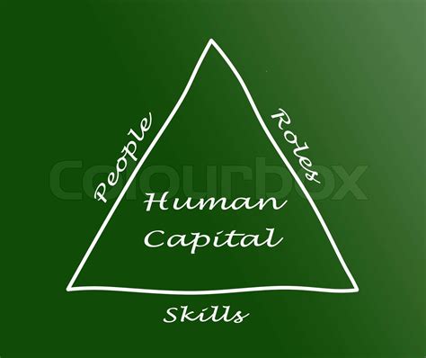 Human Capital Stock Image Colourbox