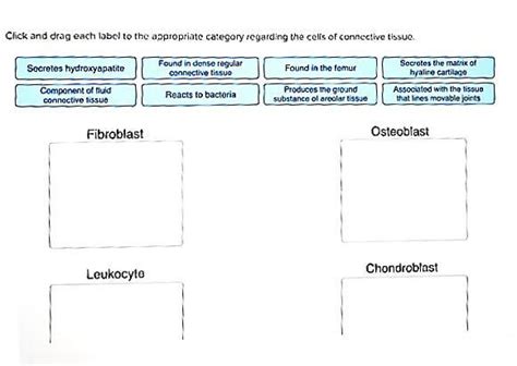 Click And Drag Each Label To The Appropriate Category Regarding The