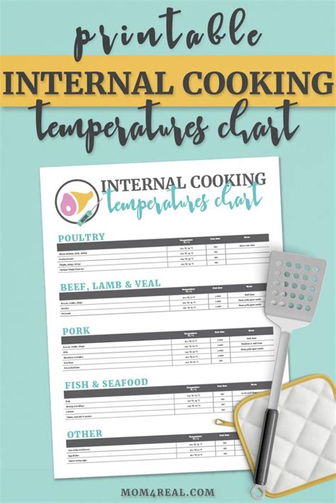 Printable Meat Temperature Safety Chart And Food Safety Tips