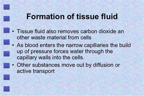 Tissue Fluid And Lymph