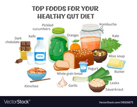 Top Foods For Gut Health Healthy Products Vector Image