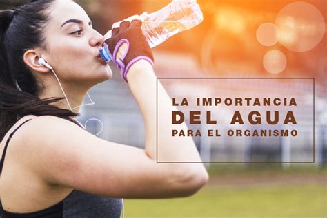 La Importancia Del Agua Para El Organismo Herbalife Nutrition Mx