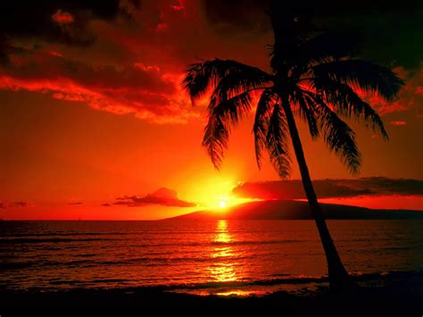 🔥 Free Download Island Sunset Wallpaper Image Photos Pictures And