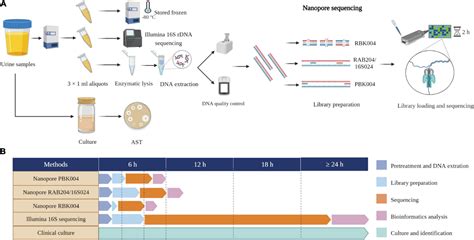 Frontiers Rapid Detection Of Bacterial Pathogens And Antimicrobial